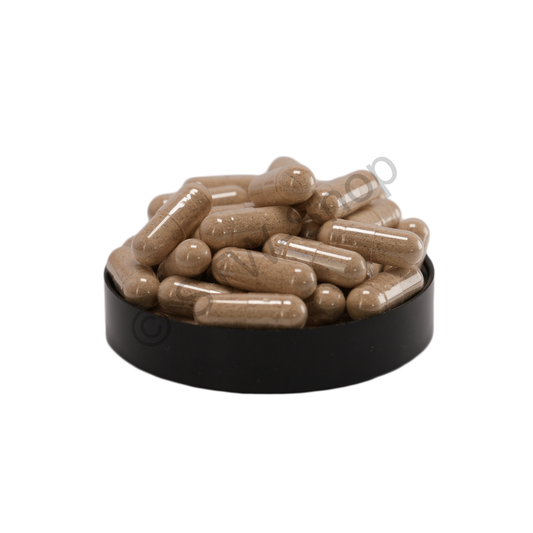 Khoysan Algenkapseln